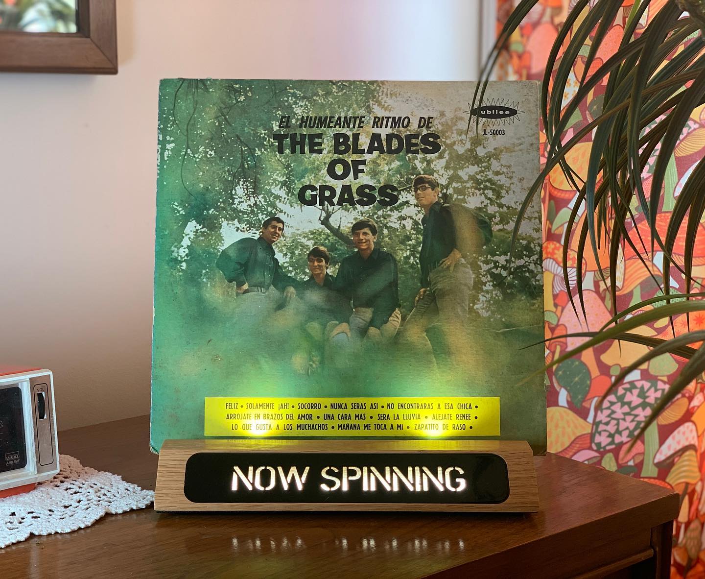 Vinyl-a-Day 48: The Blades of Grass - “The Blades of Grass Are Not for Smoking” (Jubilee, 1967)